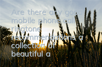 Are there any good mobile phone call ringtone recommendations (a collection of beautiful and popular mobile phone ringtones)