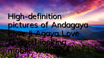High-definition pictures of Andagaya Love Ji (Agaya Love Ji's good-looking mobile wallpaper)