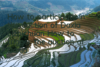 How to participate in the auction of Daxia Lizhichuan (How to trigger the auction of Daxia Lizhichuan)