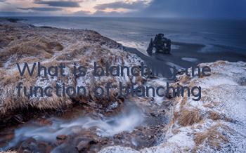 What is blanching (the function of blanching)
