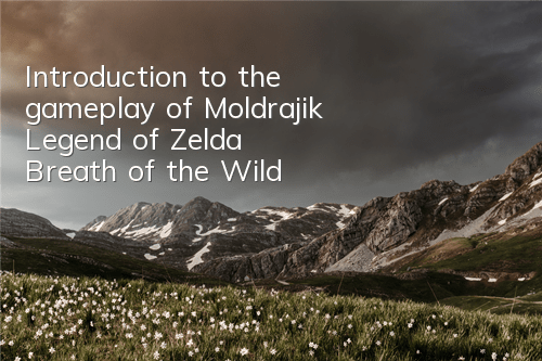Introduction to the gameplay of Moldrajik (Legend of Zelda Breath of the Wild)