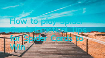 How to play Spider Cards (Practical Tips for Spider Cards to Win)