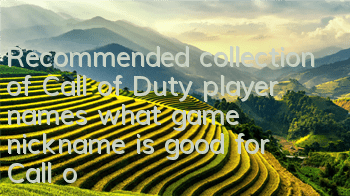 Recommended collection of Call of Duty player names (what game nickname is good for Call of Duty)