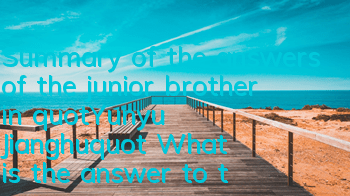 Summary of the answers of the junior brother in 
