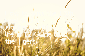 How to pass the 15th level of Shi Xiaokeng’s hilarious life in 12? Guide to the Tiger’s Food Seizing Level