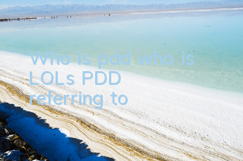 Who is pdd (who is LOL's PDD referring to)