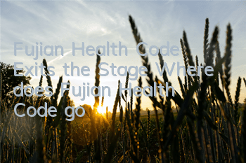 Fujian Health Code Exits the Stage (Where does Fujian Health Code go?)