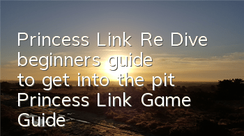 Princess Link Re: Dive beginners' guide to get into the pit (Princess Link Game Guide)