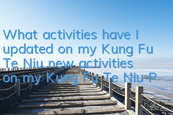 What activities have I updated on my Kung Fu Te Niu (new activities on my Kung Fu Te Niu Platform)