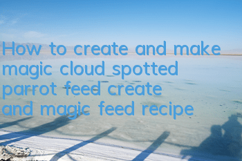 How to create and make magic cloud spotted parrot feed (create and magic feed recipe)