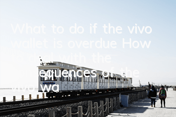 What to do if the vivo wallet is overdue (How to deal with the consequences of the vivo wallet being overdue)