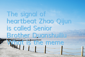 The signal of heartbeat Zhao Qijun is called Senior Brother Duanshuiliu (What is the meme of Senior Brother Zhao Qijun)