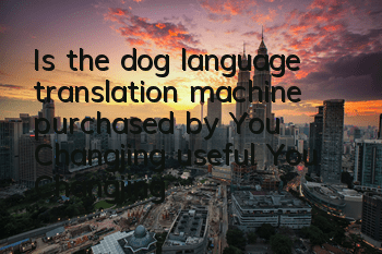 Is the dog language translation machine purchased by You Changjing useful? (You Changjing Dog Language Translation IQ Tax)