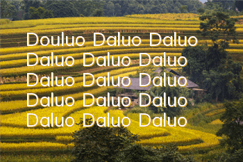 Douluo Daluo Daluo Daluo Daluo Daluo Daluo Daluo Daluo Daluo Daluo Daluo Daluo Daluo Daluo Daluo Daluo Daluo Daluo Daluo Daluo Daluo Daluo Daluo Daluo Daluo Daluo Daluo Daluo Daluo Daluo Daluo Daluo Daluo Daluo Daluo Daluo Daluo Daluo Daluo Daluo Daluo Da