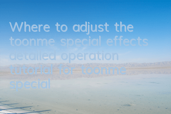 Where to adjust the toonme special effects (detailed operation tutorial for toonme special effects filter)