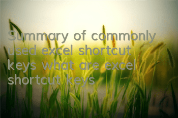 Summary of commonly used excel shortcut keys (what are excel shortcut keys)