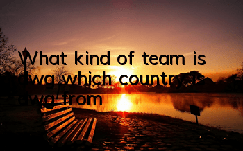 What kind of team is dwg (which country is dwg from)