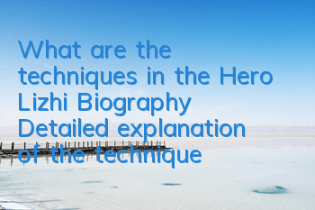 What are the techniques in the Hero Lizhi Biography (Detailed explanation of the techniques in the Hero Lizhi Biography)