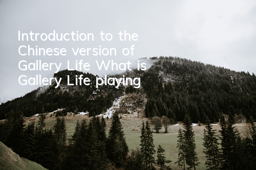 Introduction to the Chinese version of Gallery Life (What is Gallery Life playing)