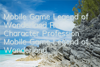 Mobile Game Legend of Wonderland Ro Character Profession (Mobile Game Legend of Wonderland Brick Moving Career Recommended)