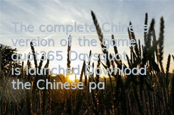 The complete Chinese version of the game 