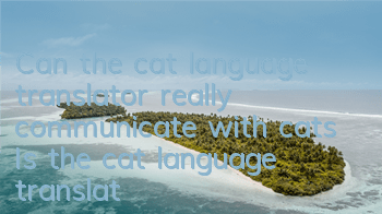 Can the cat language translator really communicate with cats (Is the cat language translator useful?)