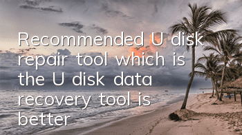 Recommended U disk repair tool (which is the U disk data recovery tool is better)