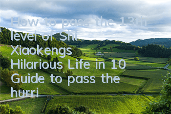 How to pass the 13th level of Shi Xiaokeng's Hilarious Life in 10? Guide to pass the hurried and quick-witted wall