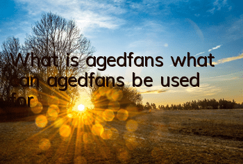 What is agedfans (what can agedfans be used for)