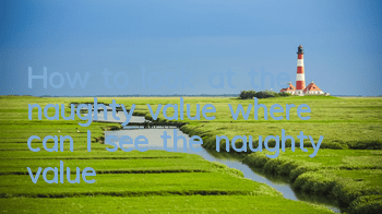 How to look at the naughty value (where can I see the naughty value)