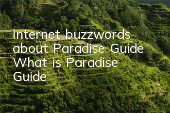 Internet buzzwords about Paradise Guide (What is Paradise Guide)