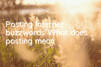 Posting Internet buzzwords (What does posting mean)