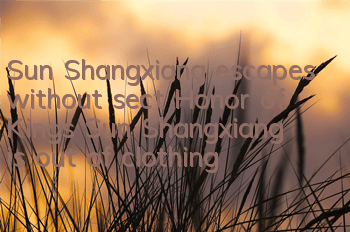 Sun Shangxiang escapes without sect (Honor of Kings Sun Shangxiang is out of clothing)