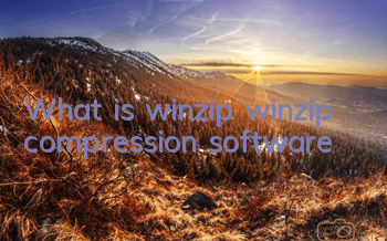 What is winzip (winzip compression software)