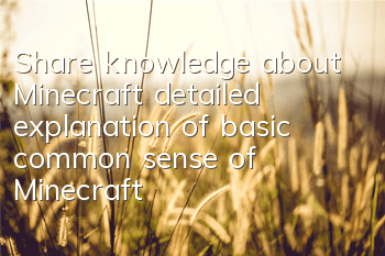 Share knowledge about Minecraft (detailed explanation of basic common sense of Minecraft)
