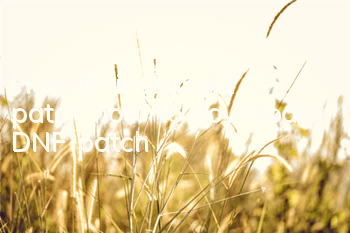How to install dnf patch (how to download DNF patch)