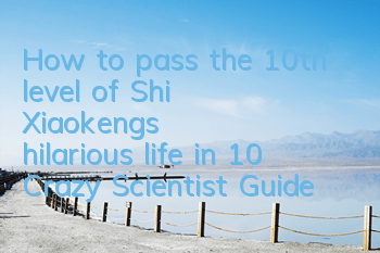 How to pass the 10th level of Shi Xiaokeng's hilarious life in 10? Crazy Scientist Guide