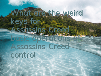 What are the weird keys for Assassin's Creed (basic operations of Assassin's Creed controller players)