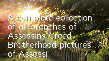 A complete collection of all branches of Assassin's Creed Brotherhood (pictures of Assassin's Creed Brotherhood Chinese Emblem)
