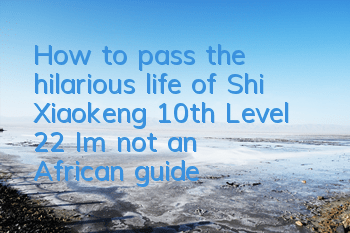 How to pass the hilarious life of Shi Xiaokeng 10th Level 22? I'm not an African guide