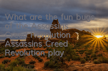 What are the fun bugs of the Assassin's Creed Revolution (Assassin's Creed Revolution players complain)