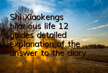 Shi Xiaokeng’s hilarious life 12 guides, detailed explanation of the answer to the diary of chasing women