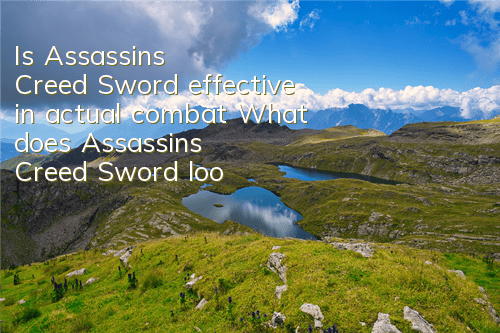 Is Assassin's Creed Sword effective in actual combat (What does Assassin's Creed Sword look like)