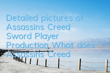 Detailed pictures of Assassin's Creed Sword Player Production (What does Assassin's Creed handmade Sword look like)