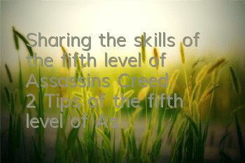 Sharing the skills of the fifth level of Assassin's Creed 2 (Tips of the fifth level of Assassin's Creed 2)