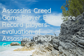 Assassin's Creed Game Player Experience Record (player's evaluation of Assassin's Creed Game)