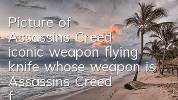 Picture of Assassin's Creed iconic weapon flying knife (whose weapon is Assassin's Creed flying knife)