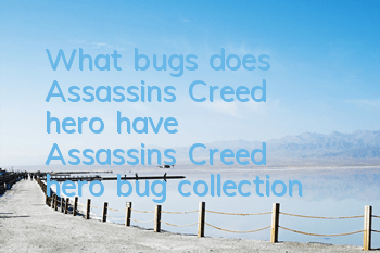 What bugs does Assassin's Creed hero have (Assassin's Creed hero bug collection)