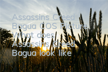 Assassin's Creed Bagua COS Picture (What does Assassin's Creed Bagua look like)