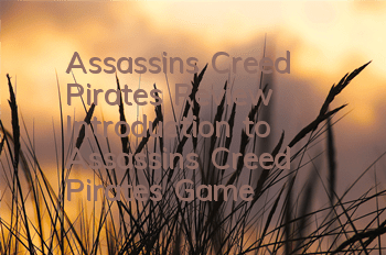 Assassin's Creed Pirates Review (Introduction to Assassin's Creed Pirates Game)